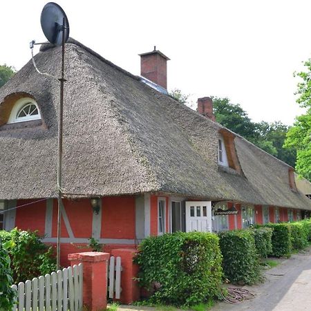 Wohnungen Unter Reet Krems Zwei Extérieur photo