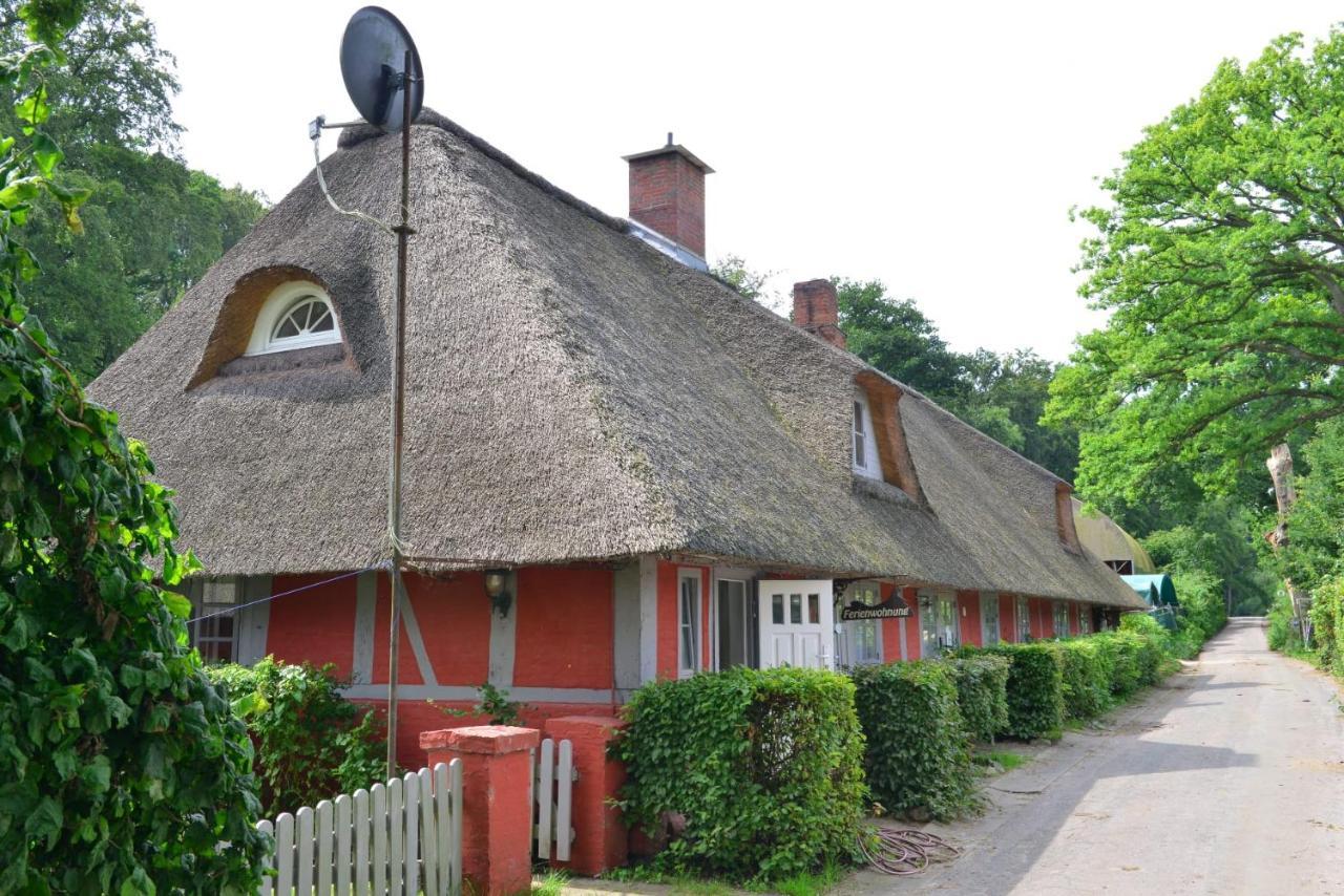 Wohnungen Unter Reet Krems Zwei Extérieur photo