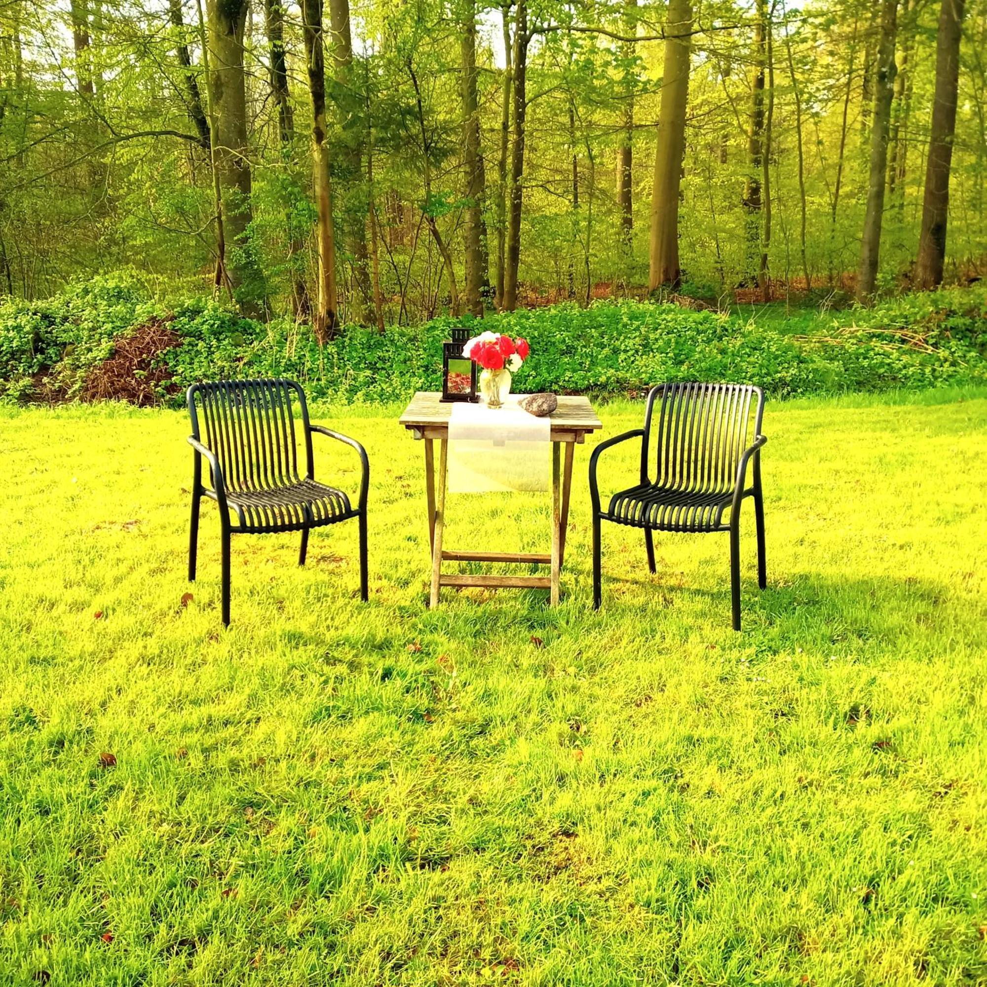 Wohnungen Unter Reet Krems Zwei Extérieur photo