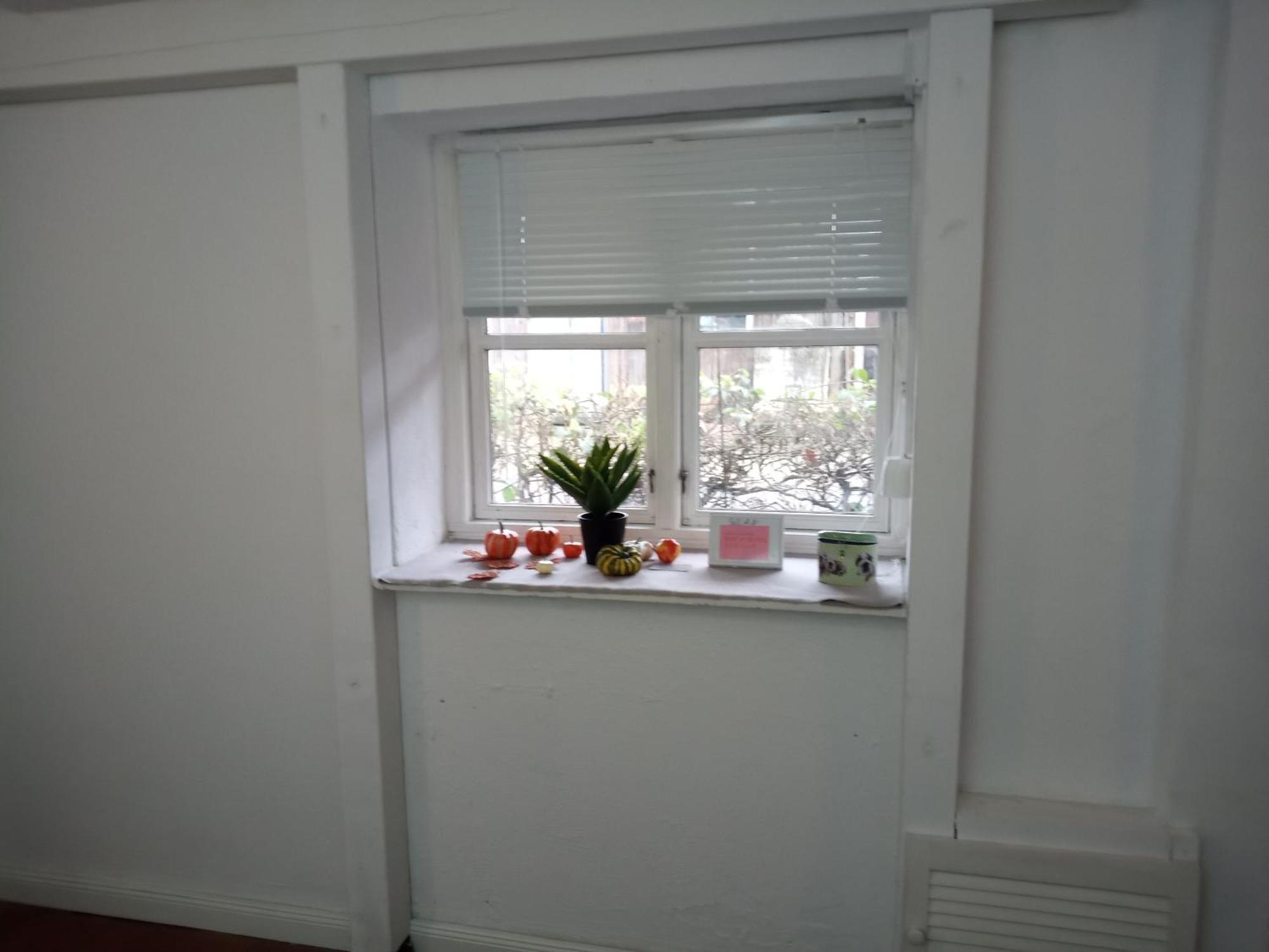 Wohnungen Unter Reet Krems Zwei Extérieur photo