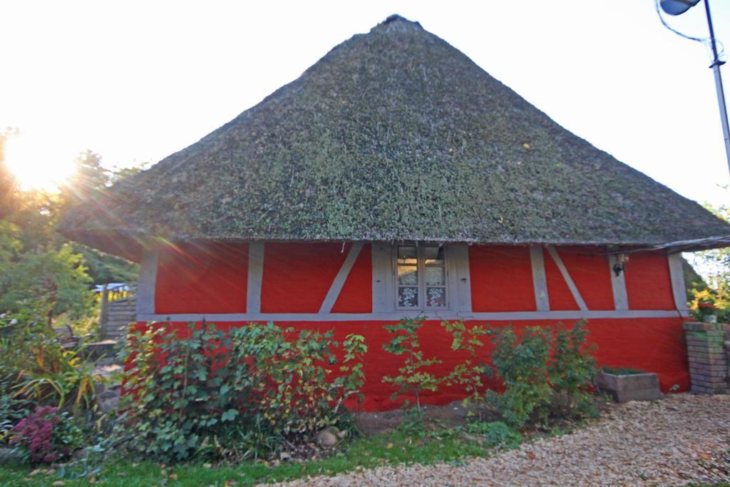 Wohnungen Unter Reet Krems Zwei Extérieur photo