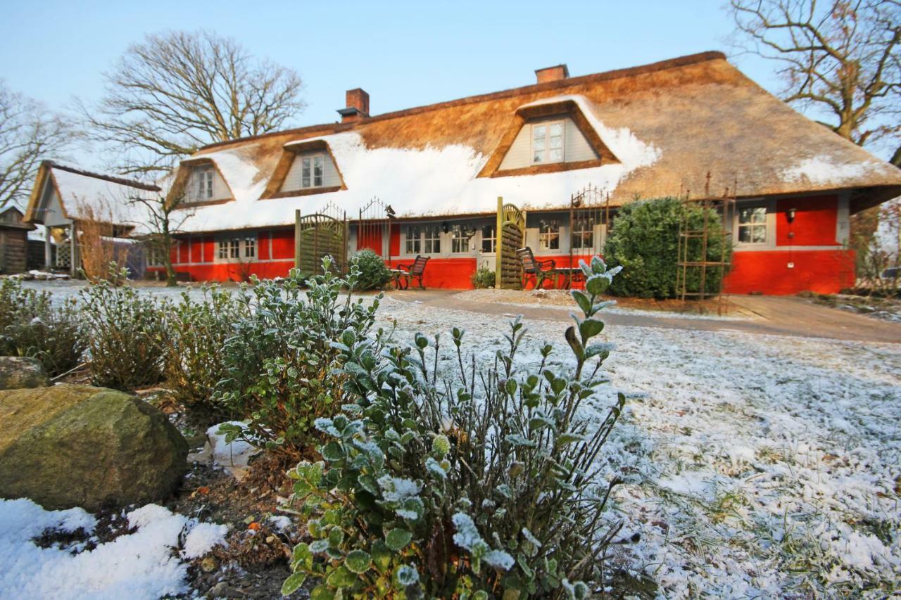 Wohnungen Unter Reet Krems Zwei Extérieur photo